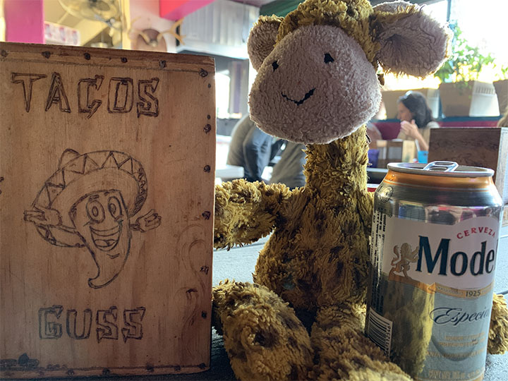 Cabo – April ’19