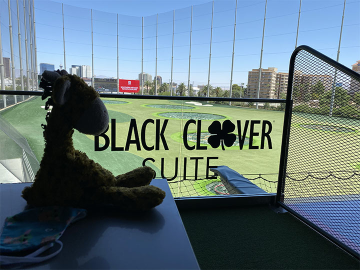 Vegas – July ’20