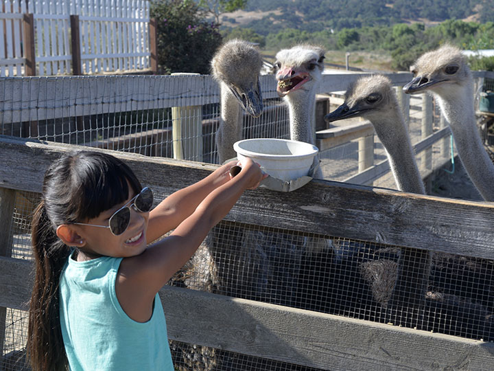 Solvang – Aug ‘19